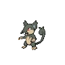 Rattata Alola