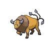 Tauros
