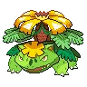 Venusaur Mega Shiny