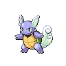 Wartortle Shiny