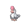 Squawkabilly White Plumage Shiny