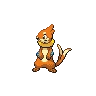 Buizel