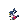 Chatot Shiny