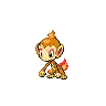 Chimchar