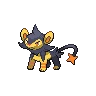 Luxio Shiny