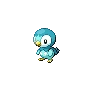Piplup Shiny