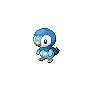 Piplup