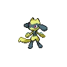 Riolu Shiny