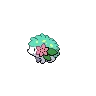 Shaymin Land Shiny