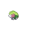 Shaymin Land