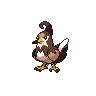 Staravia Shiny
