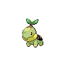 Turtwig