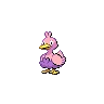 Ducklett Shiny