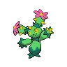 Maractus