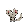 Minccino