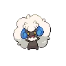 Whimsicott Shiny