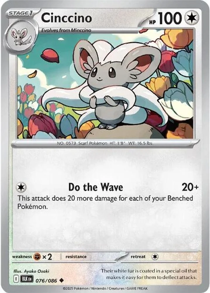 Cinccino