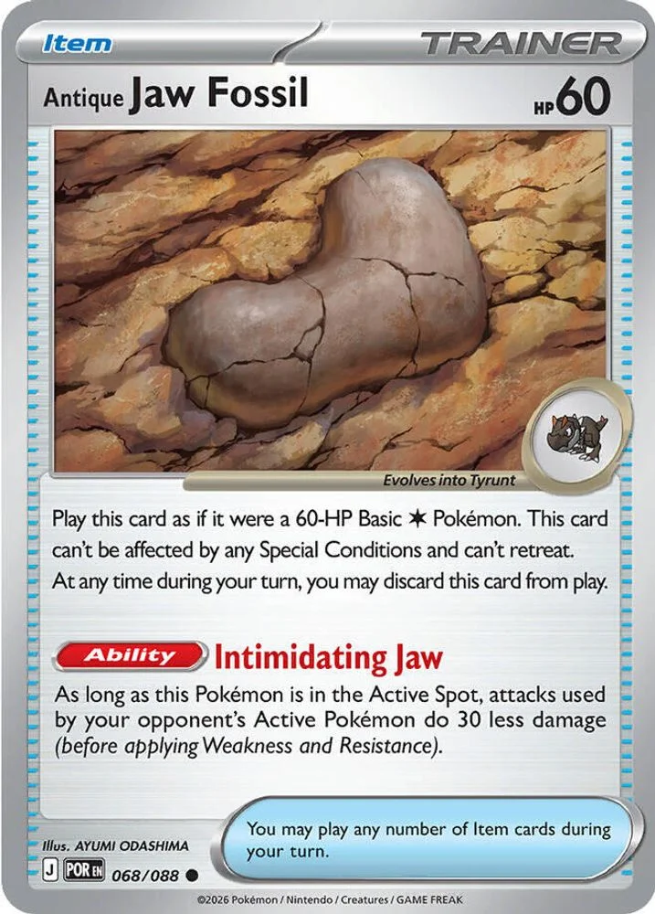 Antique Jaw Fossil